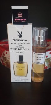 Apa de parfum - Tester Burberry for men (inspirat de Burberry)